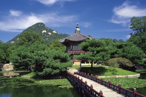世界田径赛事观赛人群画像与营销策略白皮书面世，田径展示