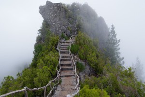 世界短道速滑锦标赛赛道维护人员获表彰，世界短道速滑锦标赛中国队