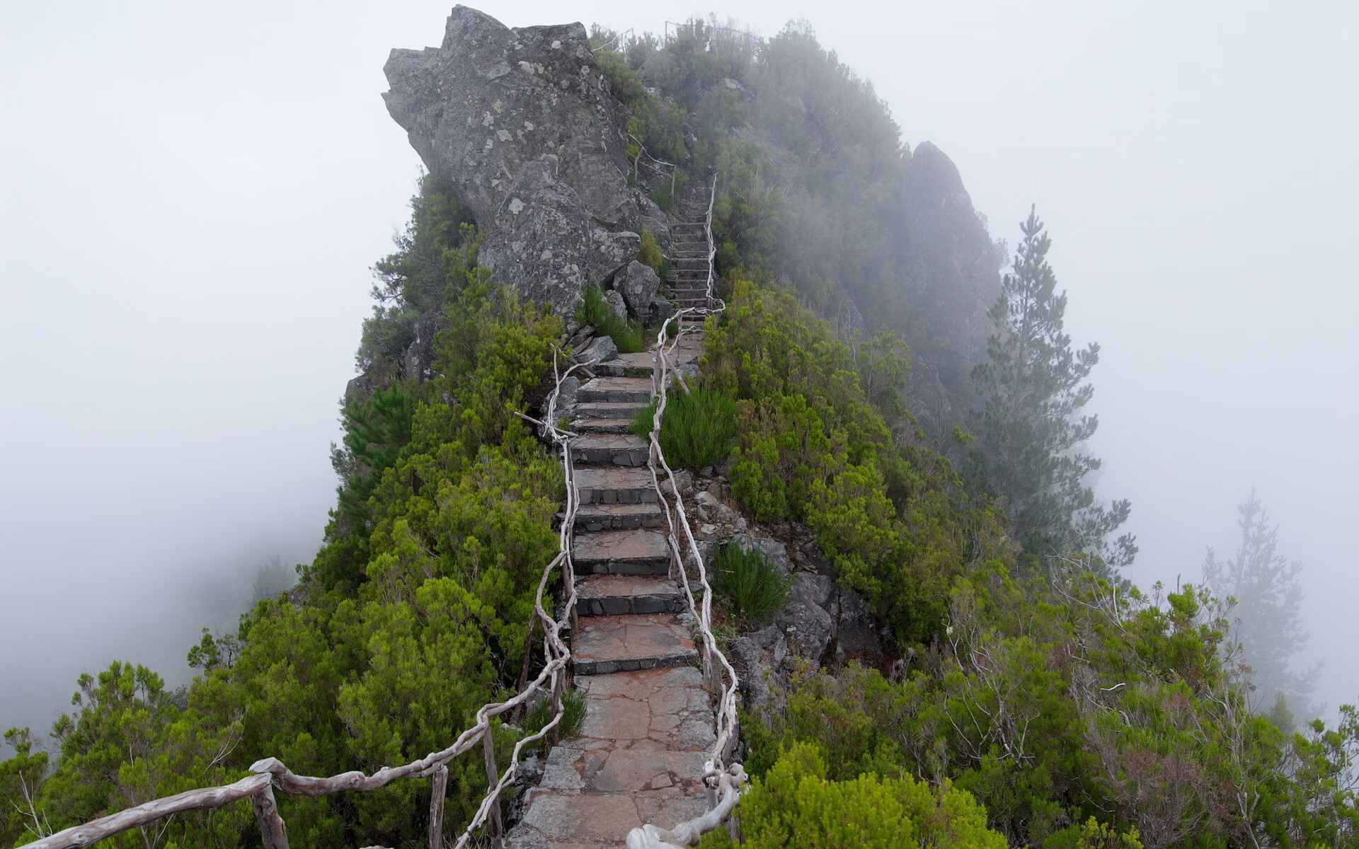 世界短道速滑锦标赛赛道维护人员获表彰，世界短道速滑锦标赛中国队